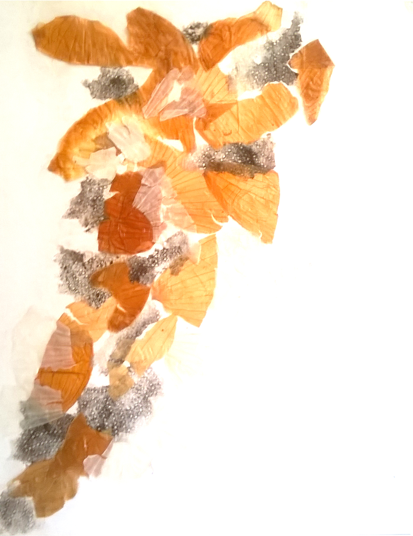 WP_20200515_15_36_35_Pro