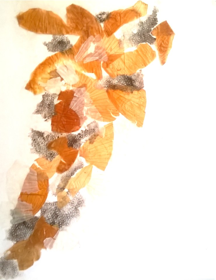 WP_20200515_15_36_35_Pro