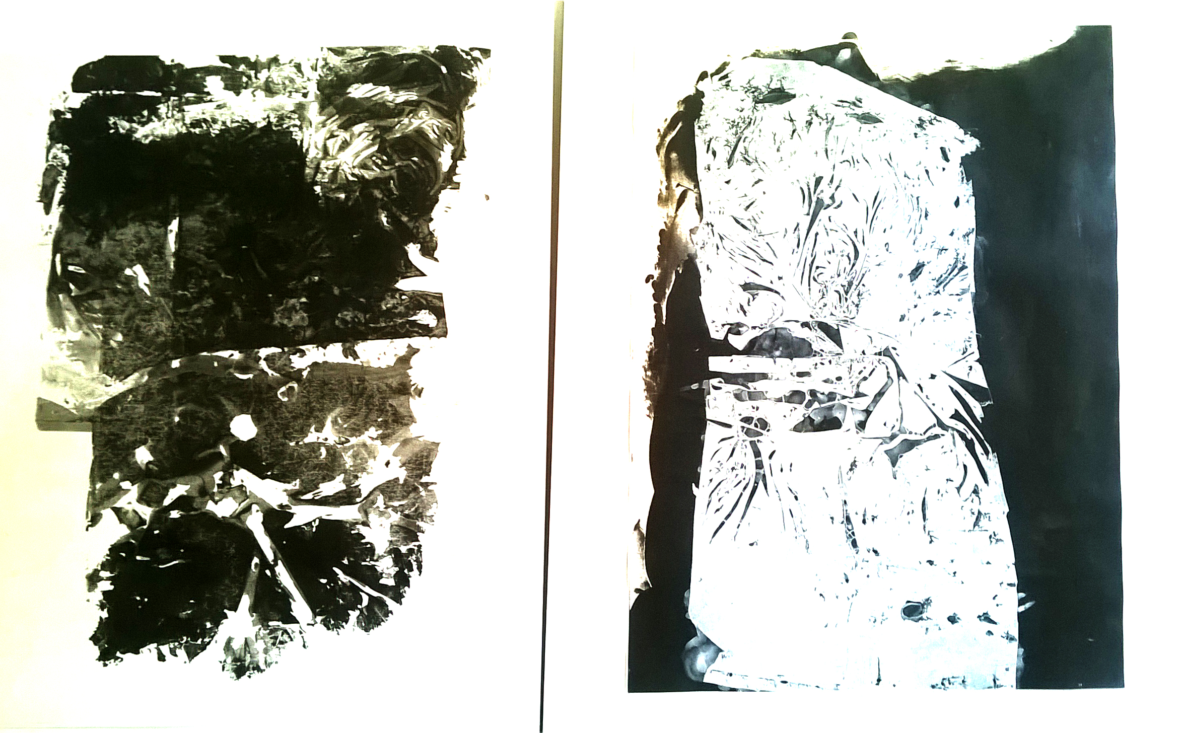 WP_20200515_15_39_57_Pro